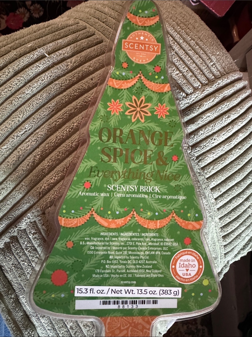 “Orange Spice & Everything Nice" Scentsy Brick